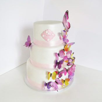 gateau papillonsPD