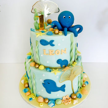 CD ocean leon